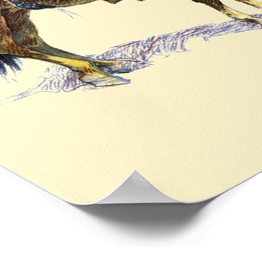 Arizona Cowboy  1907 Frederic Remington Pos Poster (Hoek)