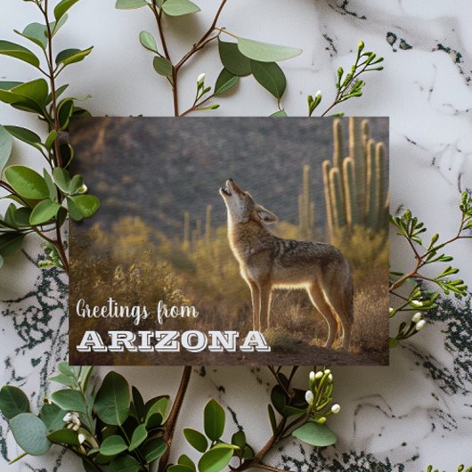 Arizona Coyote landschap Cactus woestijn Briefkaart