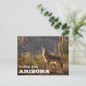 Arizona Coyote landschap Cactus woestijn Briefkaart (Staand voorkant)