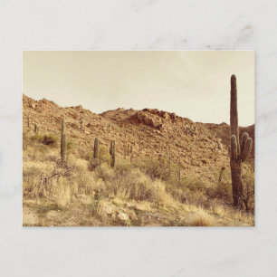 Arizona Desert Briefkaart