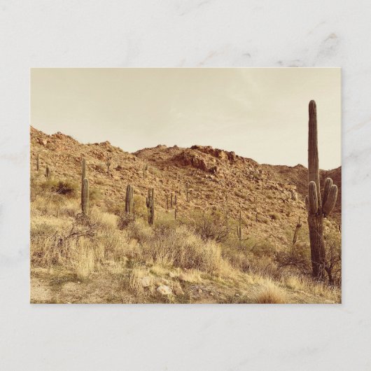 Arizona Desert Briefkaart (Voorkant)