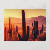Arizona Desert cactus sunset Briefkaart (Voorkant)