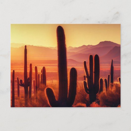 Arizona Desert cactus sunset Briefkaart (Voorkant)