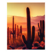 Arizona Desert cactus sunset Foto Afdruk (Voorkant)