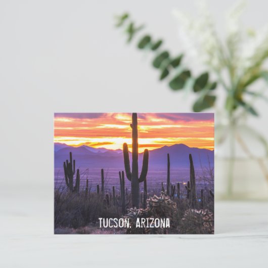 Arizona Desert Cactus Sunset Natuur Foto Souvenir Briefkaart (Staand voorkant)