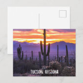 Arizona Desert Cactus Sunset Natuur Foto Souvenir Briefkaart (Voorkant / Achterkant)