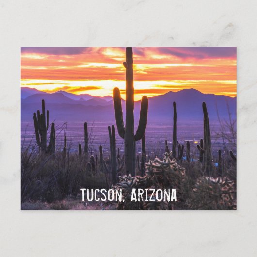 Arizona Desert Cactus Sunset Natuur Foto Souvenir Briefkaart (Voorkant)