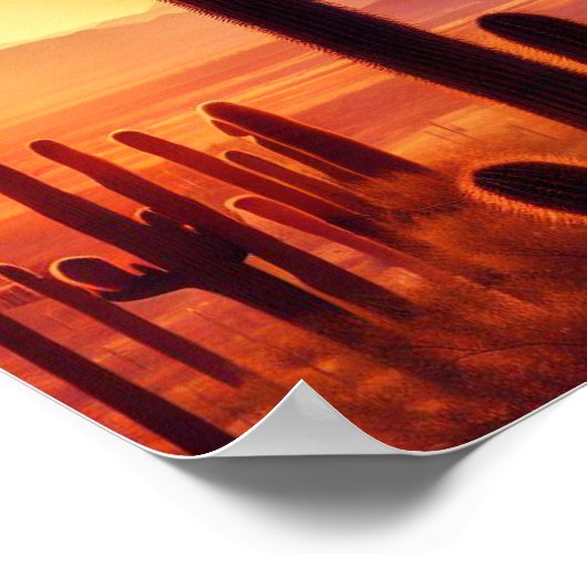 Arizona Desert cactus sunset Poster (Hoek)