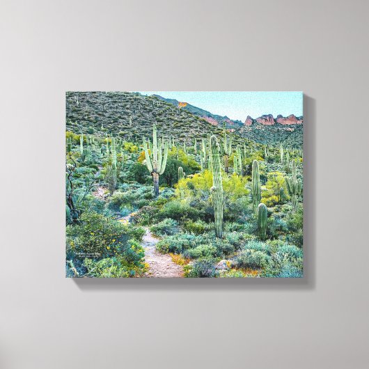 Arizona Desert Hiking Saguaro Cactus Forest 14x11 Canvas Afdruk (Voorkant)