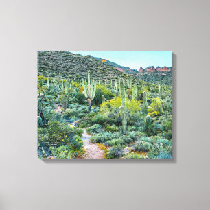Arizona Desert Hiking Saguaro Cactus Forest 20x16 Canvas Afdruk