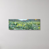 Arizona Desert Hiking Saguaro Cactus Forest 36x12 Canvas Afdruk (Voorkant)