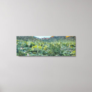 Arizona Desert Hiking Saguaro Cactus Forest 36x12 Canvas Afdruk