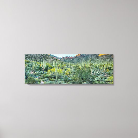 Arizona Desert Hiking Saguaro Cactus Forest 36x12 Canvas Afdruk (Voorkant)