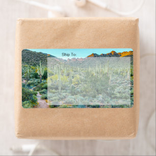 Arizona Desert Hiking Trail Saguaro Cactus Forest Etiket