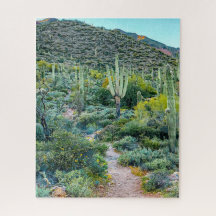 Arizona Desert Hiking Trail Saguaro Cactus Forest