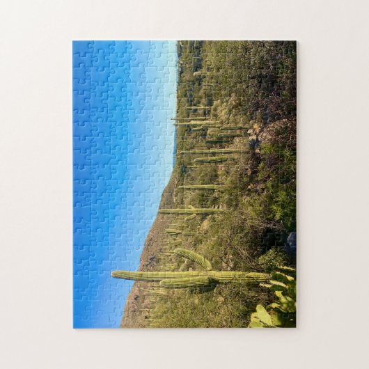 Arizona Desert Legpuzzel (Verticaal)