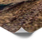 Arizona Desert Ocotillos in Bloom Poster (Hoek)