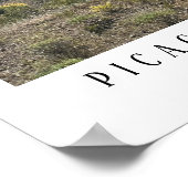 Arizona Desert Picacho Peak State Park Print (Hoek)