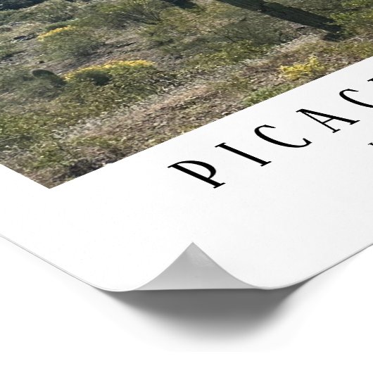 Arizona Desert Picacho Peak Vertical Mountains Art Poster (Hoek)