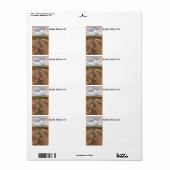 Arizona Desert Uitzicht Hiking Trail Digital Art Etiket (Full Sheet)