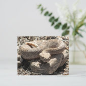 Arizona Diamondback Rattlesnake Briefkaart (Staand voorkant)