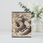 Arizona DIamondback Rattlesnake Briefkaart (Staand voorkant)