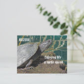 Arizona Enjoing Remoe Life Turtle Photo Funny Briefkaart (Staand voorkant)
