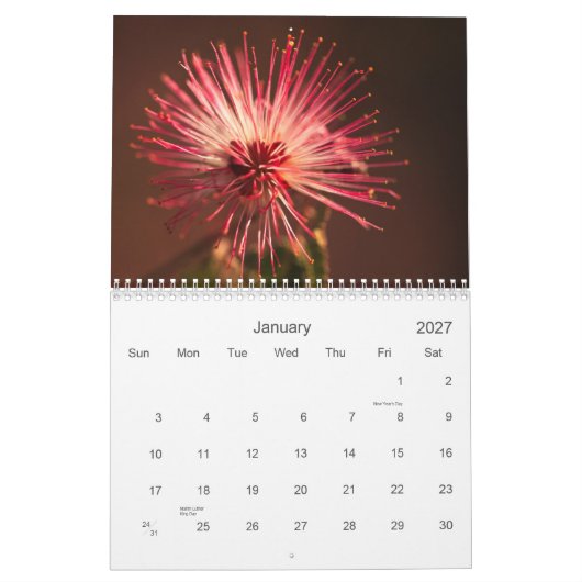 Arizona Flowers Kalender (Jan 2027)