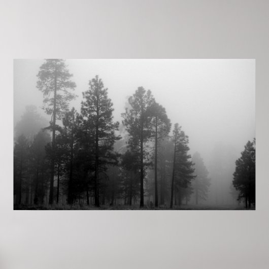 Arizona Fog Poster (Voorkant)