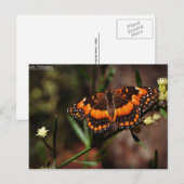 Arizona Free Briefkaart (Voorkant / Achterkant)