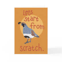 Arizona Gambel's Quail Apology I'm Sorry