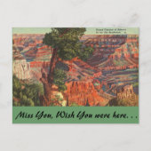 Arizona, Grand Canyon Briefkaart (Voorkant)