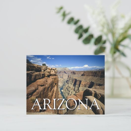 Arizona | Grand Canyon National Park | Dank u Briefkaart (Staand voorkant)