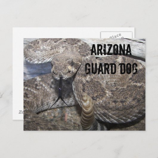 Arizona Guard Dog Briefkaart (Voorkant / Achterkant)
