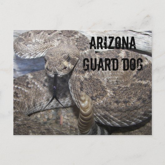Arizona Guard Dog Briefkaart (Voorkant)
