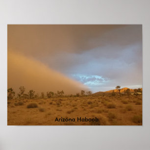 Arizona Haboob Poster