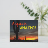 "Arizona is geweldig!" Sunset Sonoran Desert Cactu Briefkaart (Staand voorkant)