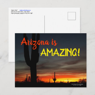 "Arizona is geweldig!" Sunset Sonoran Desert Cactu Briefkaart