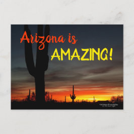 "Arizona is geweldig!" Sunset Sonoran Desert Cactu Briefkaart