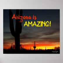 "Arizona is geweldig!" Sunset Sonoran Desert Cactu