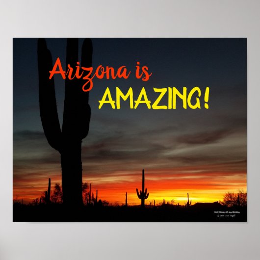 "Arizona is geweldig!" Sunset Sonoran Desert Cactu Poster (Voorkant)