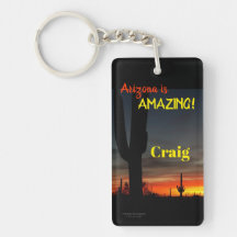 "Arizona is geweldig!" Sunset Sonoran Desert Cactu