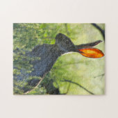 Arizona Jack Rabbit. Legpuzzel (Horizontaal)