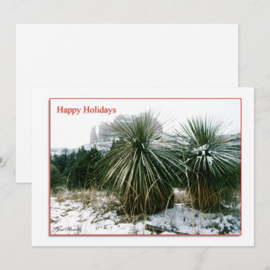 Arizona Kerstmis Feestdagenkaart (Voorkant / Achterkant)