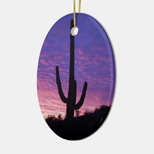 Arizona Kerstmis Keramisch Ornament (Links)
