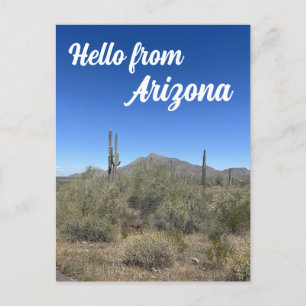 Arizona Landscape Saguaro Cactus Natuur Briefkaart