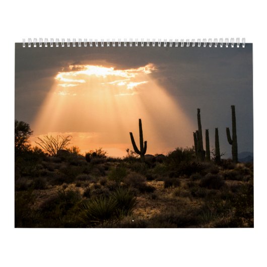 Arizona Landscapes Kalender (Hoes)
