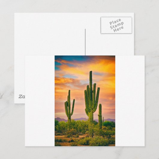 Arizona Life Briefkaart (Voorkant / Achterkant)