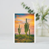 Arizona Life Briefkaart (Staand voorkant)