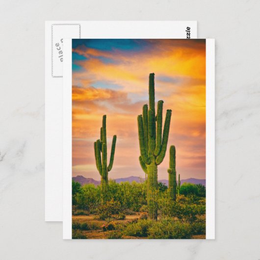 Arizona Life Briefkaart (Voorkant / Achterkant)